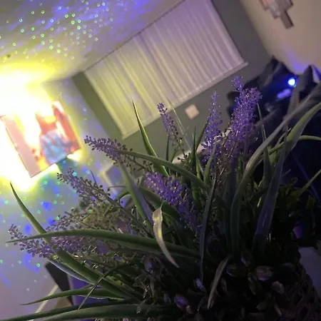 Apartament Madison House *